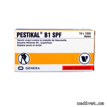 Pestikal B1