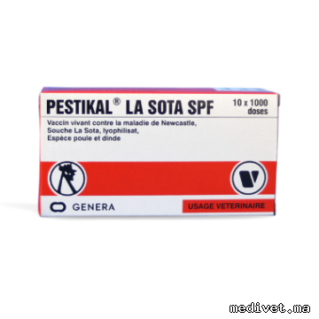 Pestikal La Sota