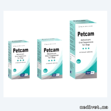 PETCAM
