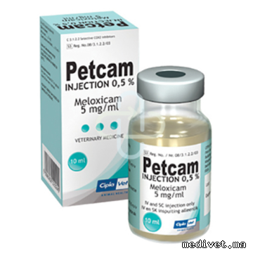 PETCAM
