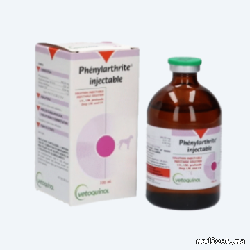 PHENYLARTHRITE INJECTABLE