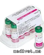PNEUMEQUINE
