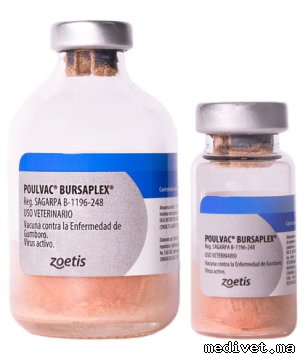 Poulvac Bursaplex
