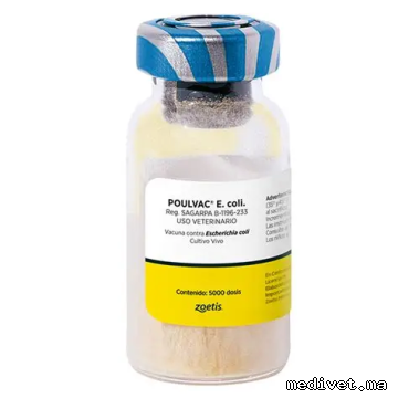 Poulvac E. coli