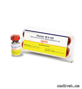 POULVAC IB H 120
