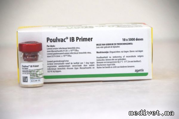POULVAC IB PRIMER