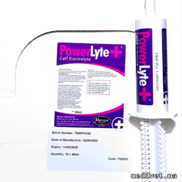 Powerlyte