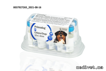 PRIMODOG