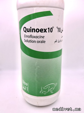 QUINOEX 10