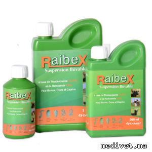 RAIBEX