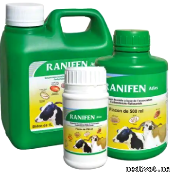RANIFEN ATLAS