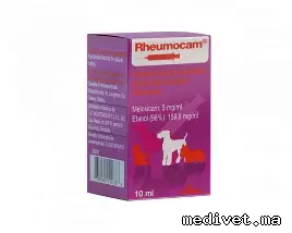 RHEUMOCAM