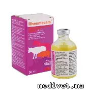 RHEUMOCAM