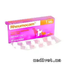 RHEUMOCAM