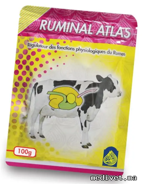 Ruminal Atlas