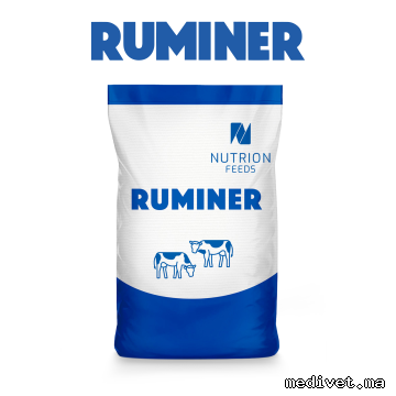 Ruminer