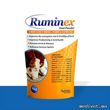 RUMINEX
