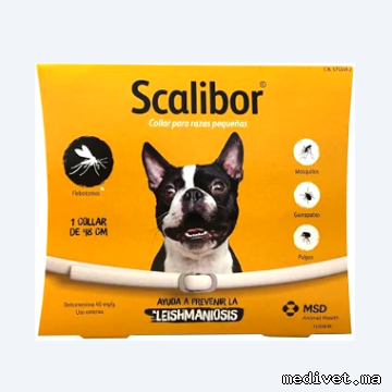SCALIBOR