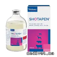 SHOTAPEN