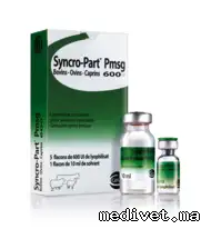 SYNCRO-PART PMSG