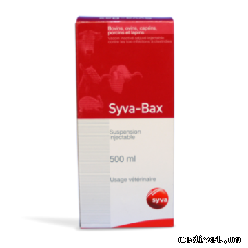 SYVA BAX