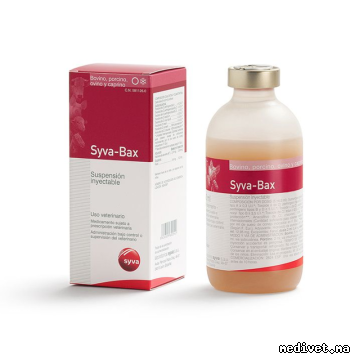SYVA BAX