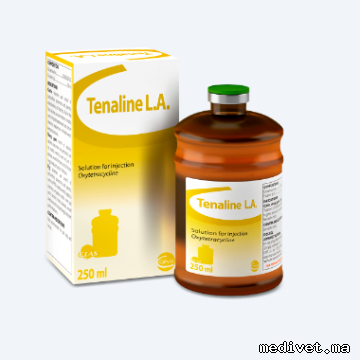 TENALINE L.A