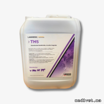 TH5