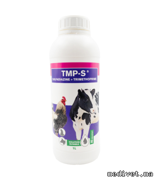 TMP-S
