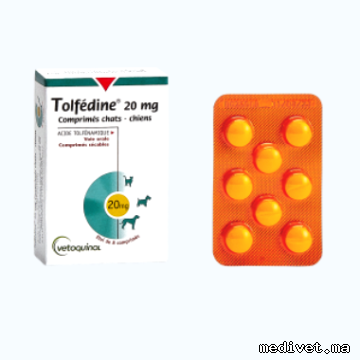 TOLFÉDINE