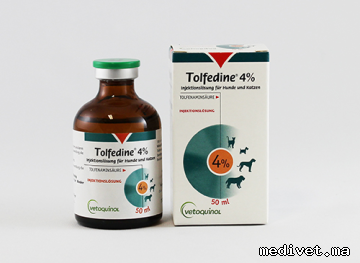 TOLFÉDINE