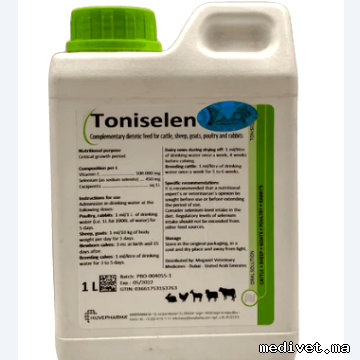 Toniselen