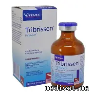 TRIBRISSEN