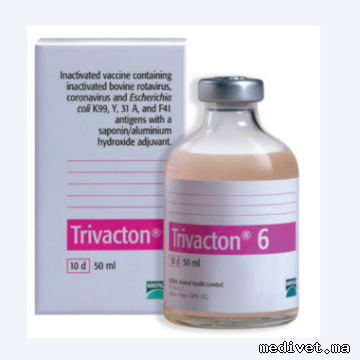 TRIVACTON 6