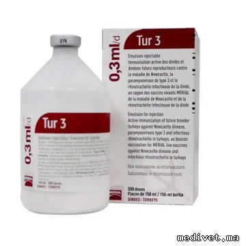 TUR-3