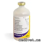ULTRACHOICE 8
