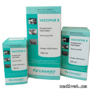 VACCIPUR 8