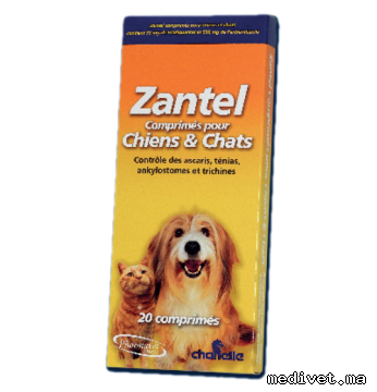 Zantel